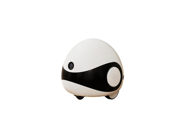 Smart Laser Pet Toy Security Camera Wireless Remote Monitor ...