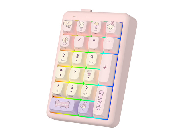 Wireless Number Pad, BT 5.0 Mechanical Number Keypad for Laptop, 21-Key ...