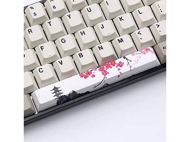 pbt kit4 spacebar