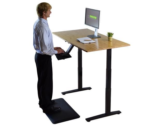 Rise Up Dual Motor Adjustable Height Electric Standing Desk 48x30