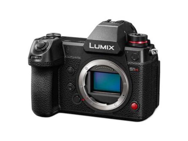 huichelarij Verwant Echt Panasonic Lumix DC-S1 Mirrorless Digital Camera (Body Only) (Intl Model) -  Newegg.com