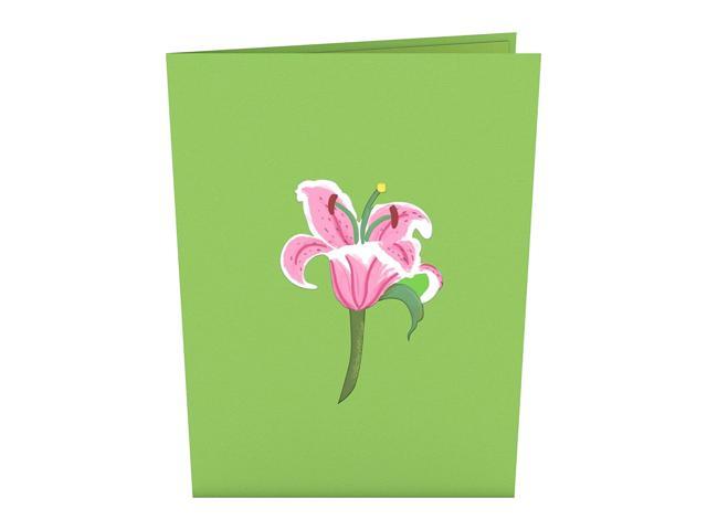 Lovepop 3D Greeting Card LILY BLOOM Birthday Congratulations MOTHER'S DAY Pop-up