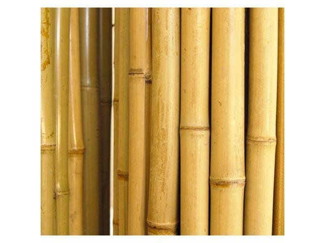 6 X 8 Ft Rolled Bamboo Fence Natural Garden Privacy Fencing