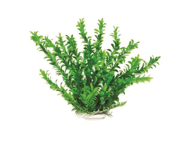 Aquatop Aquatic Supplies Anacharis Like Aquarium Plant Green 20 Inch
