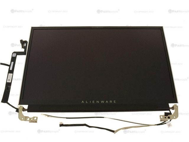 Dell OEM Alienware Area-51m R2 17.3" UHD 4K LCD Screen Display LCD ...