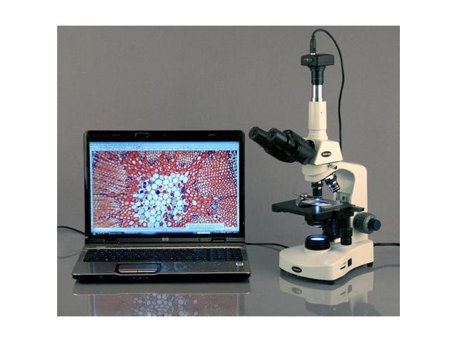 40X-1600X Magnification Brightfield WF10x and WF16x Eyepieces AmScope T340A-LED Siedentopf Trinocular Compound Microscope LED Illumination Double-Layer Mechanical Stage Abbe Condenser