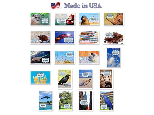 CALIFORNIA FUN FACTS postcard set of 20 identical postcards Made in USA. US state trivia post card pack 