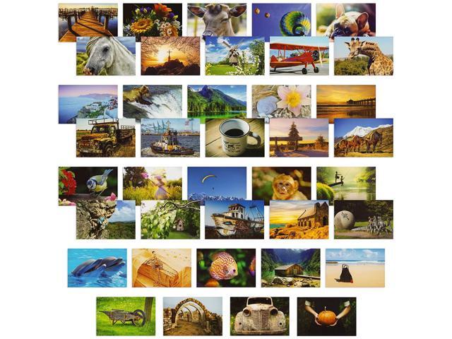 Automobilia Snow Mouse and Robin Print Photo Keyring Animal Gift AMO-5K Vehicle Parts & Accessories LA2051757 Automobilia Snow Mouse and Robin Print Photo Keyring Animal Gift AMO-5K Vehicle Parts & Accessories LA2051757