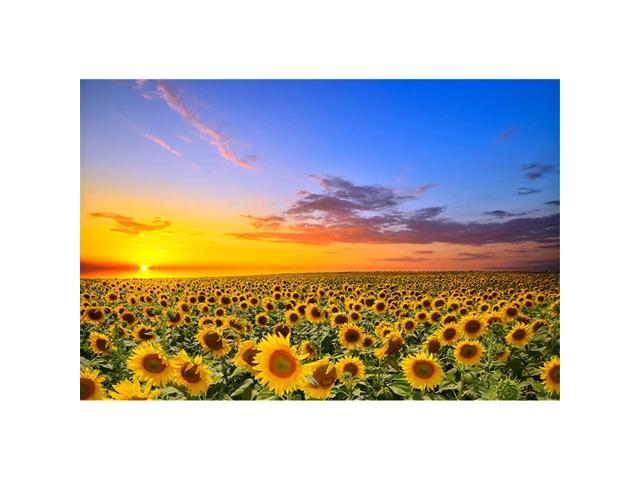 PROW Premium Wooden 1000 Piece Puzzles Sunflower Landscape Size 3020Inch Adult Jigsaw Puzzle for Boy Girl Friends Romantic Gift
