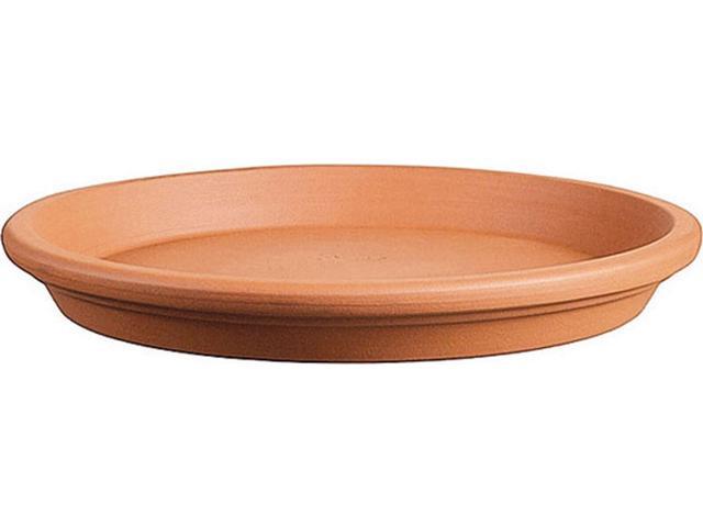 Terracotta pie