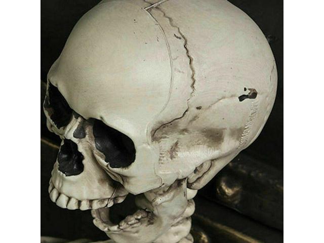 1:1 Human Realistic Skull-Head Resin Halloween Haunt Stage Prop Decoration 