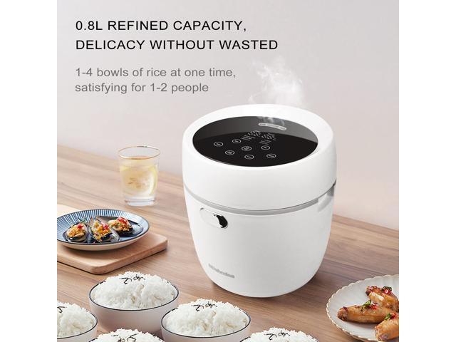 rice cooker for 2 people