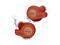 Jabra Elite Active 65t - Red True Wireless Sport Earbuds Copper Red