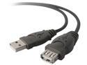Belkin F3U13410 Black Pro Series USB Extension Cable