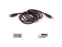 Belkin F3U134b03 Black USB Extender Cable