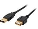 Rosewill CL-U2-AAMF-6-BK 6ft High Speed USB 2.0 A Male to A Female Extension Cable, Gold Plated, Black