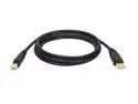 Tripp Lite U022-010 Black USB 2.0 Gold Plated A to B Device Cable - 10 ft.