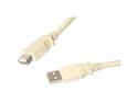 StarTech.com USBEXTAA_6 Beige USB 2.0 Extension Cable A to A - M/F