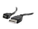 BYTECC USB2-1MIN Black USB 2.0 Type A Male to Mini B Male Cable