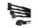 Adaptec 2236700-R mini SAS x4 (SFF-8087) to (4) x1 SATA (controller based) fan-out Cable - 1M