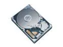 Maxtor DiamondMax 10 6L250S0 250GB 7200 RPM 16MB Cache SATA 1.5Gb/s 3.5" Hard Drive Bare Drive