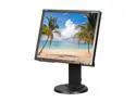 NEC Display Solutions EA192M-BK Black 19"  5ms Height,Swivel & Pivot Adjustable LED BackLight LCD Monitor w/ Display Port & Speakers  250 cd/m2 DC 25,000:1 (1,000:1)