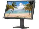 NEC Display Solutions  MultiSync P241W-BK Black 24.1" 8ms  Pivot, Swivel & Height Adjustable Widescreen IPS LCD Monitor 360 cd/m2 1000:1