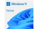 Microsoft Windows 11 Home 64-bit, DVD