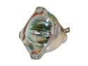 SAMSUNG BP96-01472A Lamp Replacement