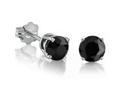 Black Diamond (1 ct. t.w.) Earrings Studs set in 10K White Gold