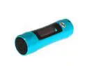 Blue 4GB FM Waterproof LED Screen MP3 Player Diving Surfing Swimming