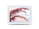Ainol Novo 8 Find Discovery Tablet PC Quad Core ATM7029 1.5GHz 8.0" IPS Screen 2GB/16GB Android 4.1 Dual Camera 0.3MP+2.0MP HDMI WIFI Bluetooth