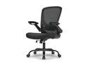Eureka Ergonomic Office Chair, Mesh Ergonomic Desk Chair with Adjustable Height Black