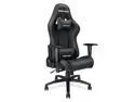 Anda Seat Axe Series High Back Gaming Chair Ergonomic Computer Chair eSports Desk with Pillows(Black) AD5-01-B-PV