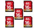GIGASTONE 16GB SDHC Memory Card, 5 Pack Premium Series, Transfer Speed Up to 80MB/s for Photos, Videos, Music, Files, Camcorder, Camera, PC, Class 10 U1 UHS-I, with 5 mini cases