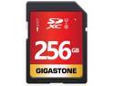 GIGASTONE 256GB SD Card UHS-I U1 Class 10 SDXC Memory Card High Speed Full HD Video Canon Nikon Sony Pentax Kodak Olympus Panasonic Digital Camera, with 1 Mini case
