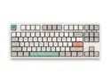 Akko 3087V2 9009 Retro TKL Gaming Mechanical Keyboard Cherry MX Red Switch Double Shot Dye Sub PBT Keycaps NKRO Detachable USB Type-C White/Grey/Pink/Green