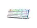 E-Yooso Z-88 RGB Wired Mechanical Gaming Keyboard, Metal Panel, 60% Compact Design, RGB LED Backlit, 81Keys Anti-Ghosting, Hot Swappable, Blue Switch-Tactile&Clicky, for PC/Laptop (White)