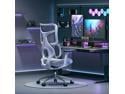 Sihoo Doro S100 Ergonomic Office Chair with Dual Dynamic Lumbar Support and adjustable seat depth, big and tall chair for 300lbs,gaming chair with 4D armrests Gray