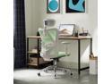 SIHOO High-Back Mesh Office Chair, Ergonomic Chair for Desk, Breathable Mesh Adjustable Headrests for Home Office,  Green