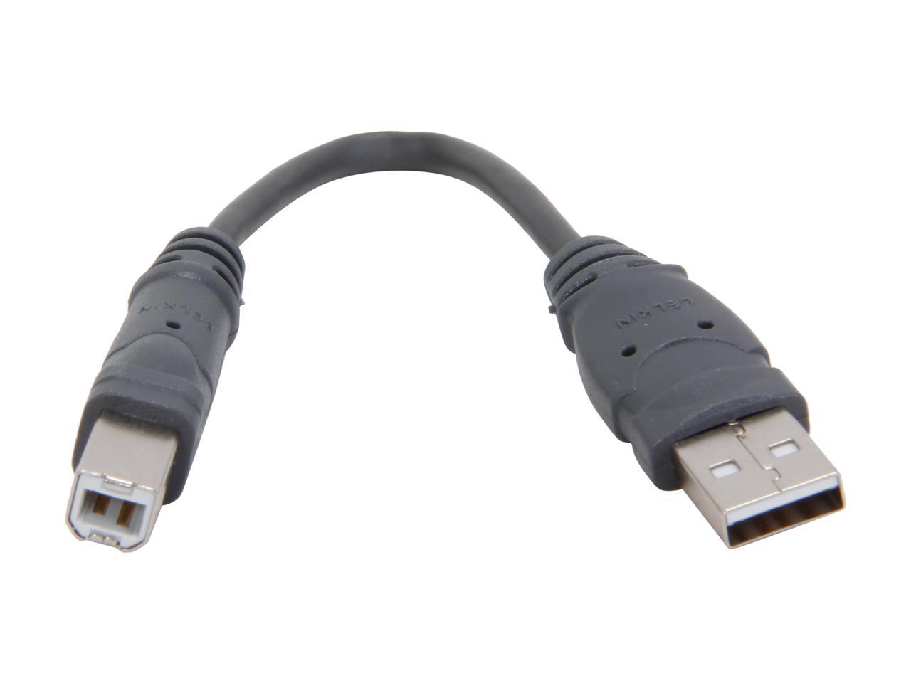 Belkin F3U133-06INCH Pro Series USB 2.0 Device Cable - Newegg.com