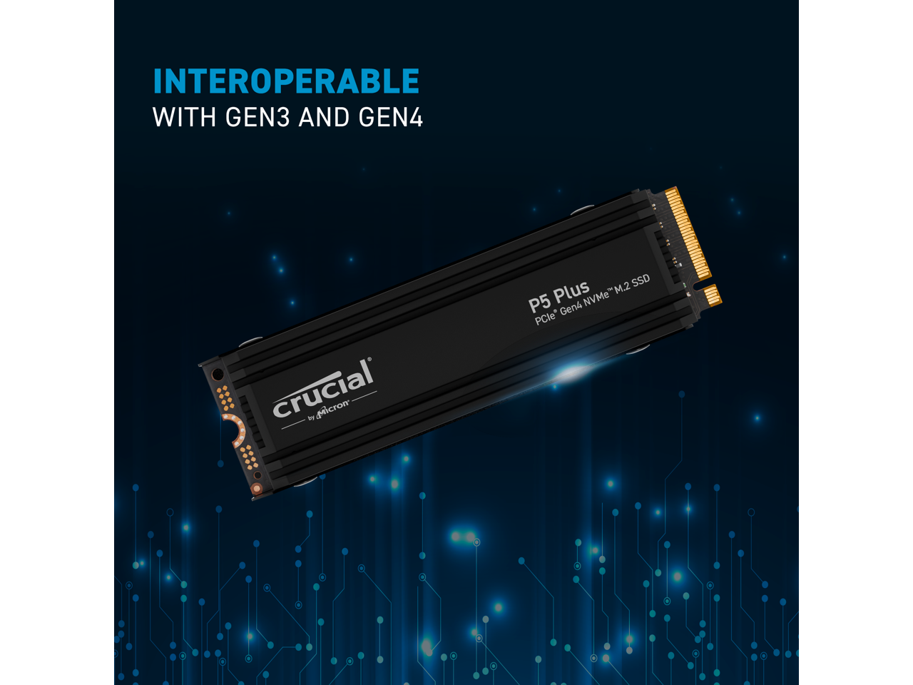 Crucial P5 Plus M.2 2280 2TB with Heatsink PCIExpress 4.0 x4 NVMe 3D