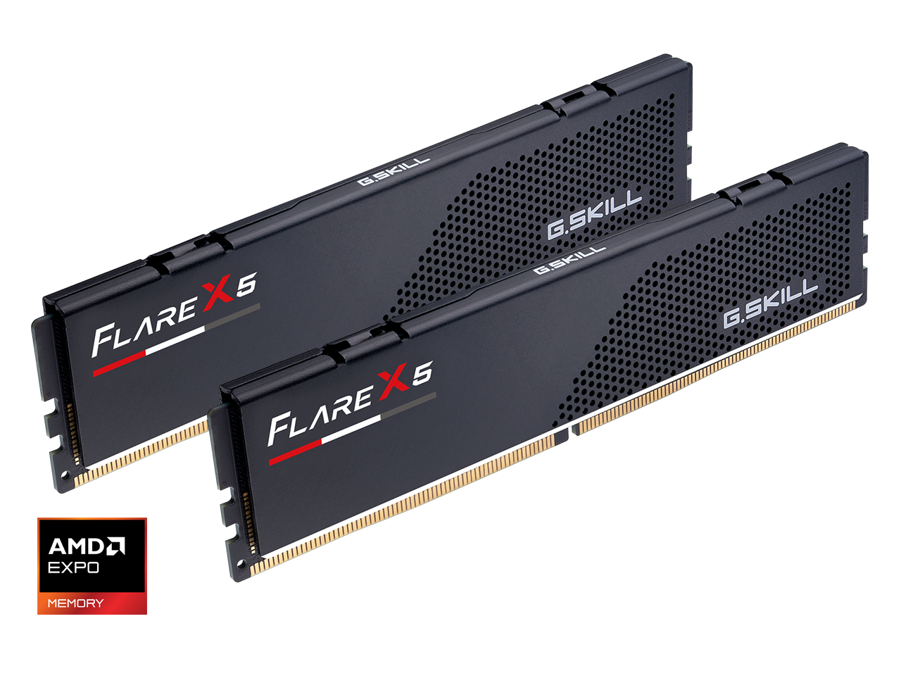 G.SKILL Flare X5 16GB (2 x 8GB) 288-Pin PC RAM DDR5 6000 (PC5 48000) Desktop Memory Model F5-6000J3038F8GH2-FX5