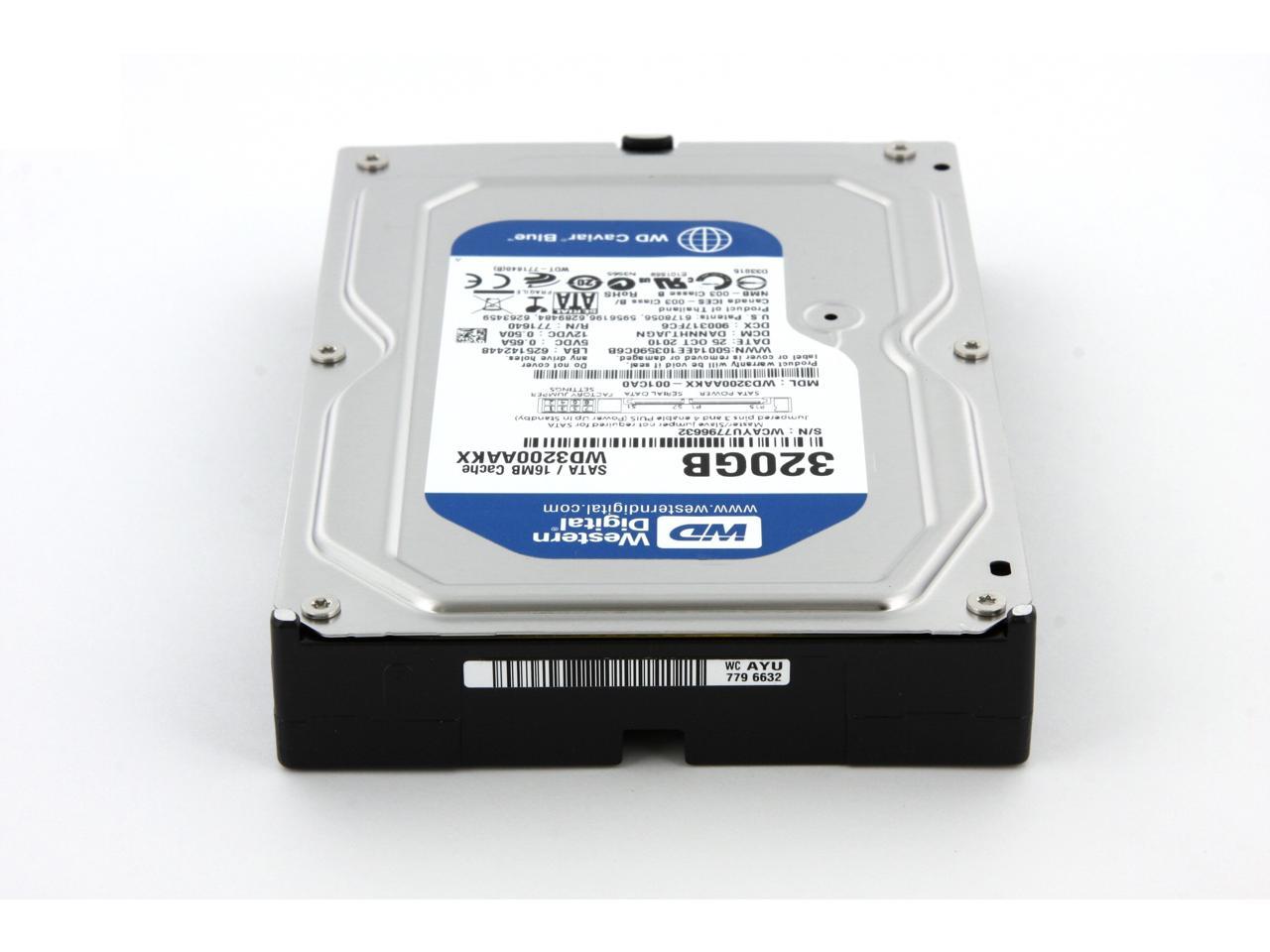 WD Blue 320GB Desktop Hard Disk Drive - 7200 RPM SATA 6 Gb/s 16MB Cache 3.5  Inch - WD3200AAKX