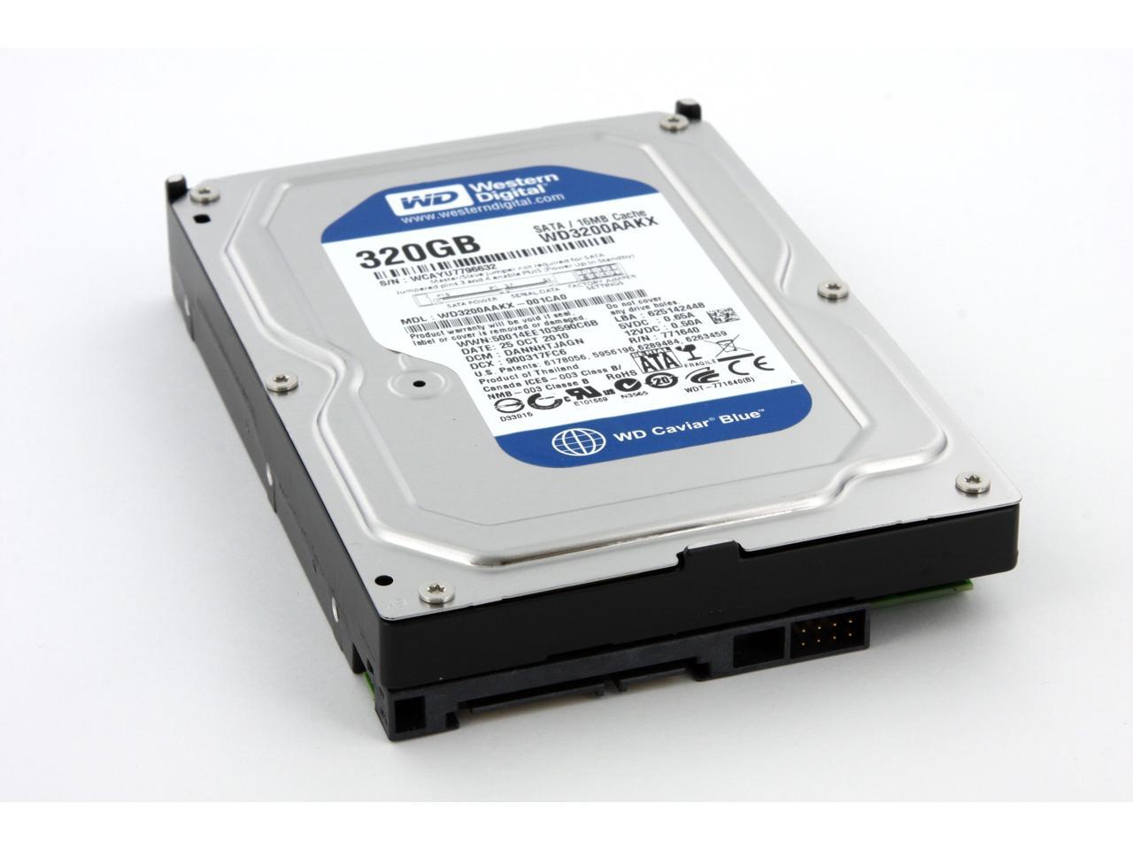 WD Blue 320GB Desktop Hard Disk Drive - 7200 RPM SATA 6 Gb/s 16MB Cache 3.5  Inch - WD3200AAKX