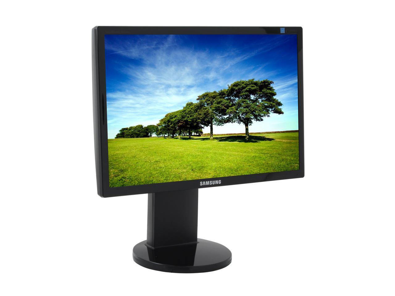 5ms DVI Widescreen LCD Monitor 