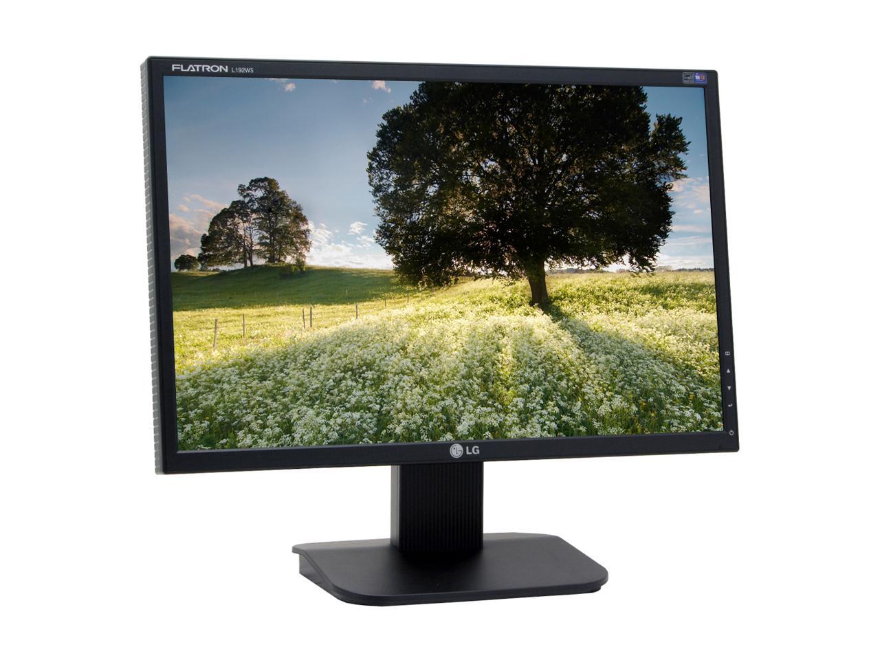 LG 19" TFT LCD WXGA+ LCD Monitor 5 ms 1440 x 900 D-Sub L192WS-BN ...