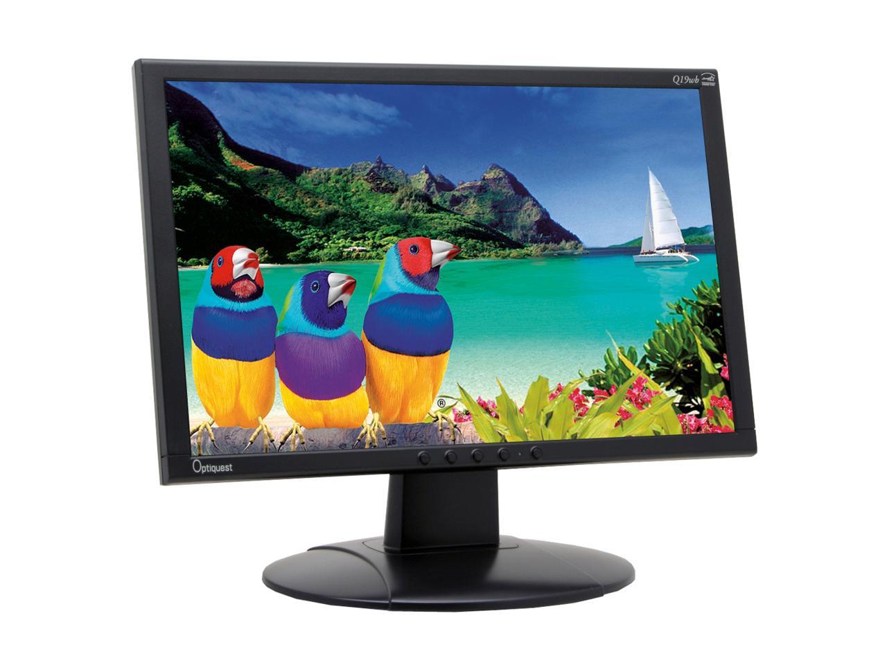 q19wb monitor