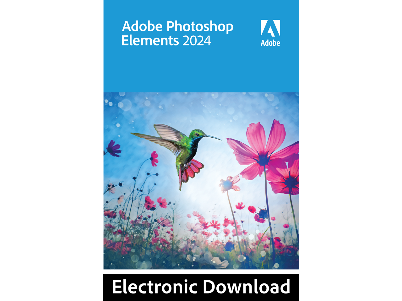 Adobe Elements 2024 for Windows Download