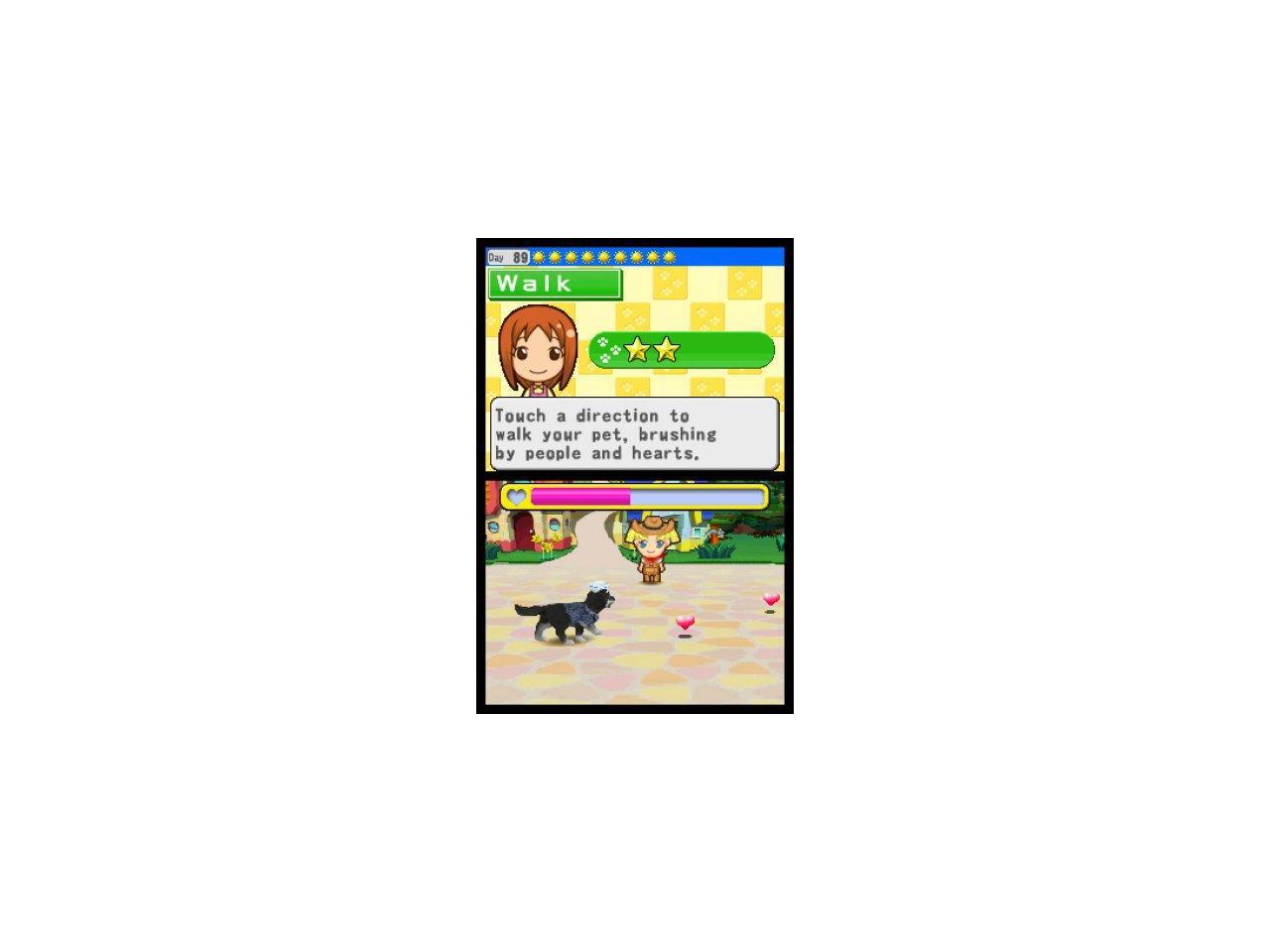 My Pet Shop Nintendo DS Game